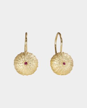 sea urchin with garnet