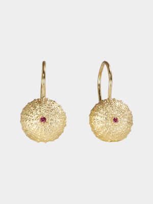 sea urchin with garnet