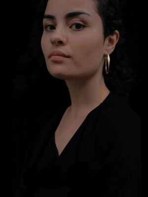 middle sized hammerede creoles model