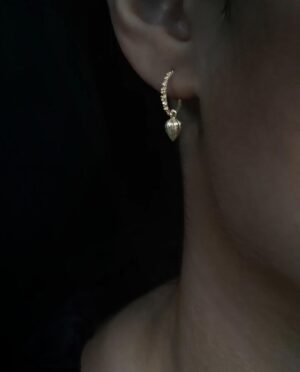 hoops with chinese lantern close up