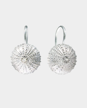 big silver sea urchin