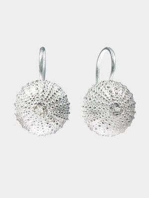 big silver sea urchin