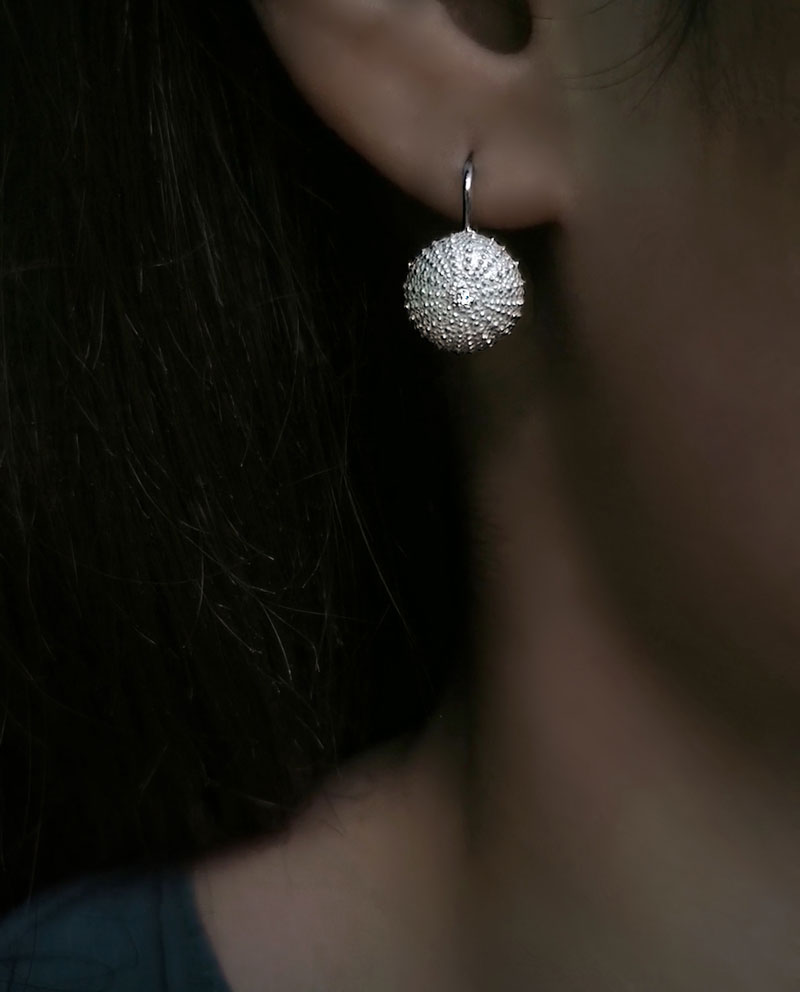 big silver sea urchin