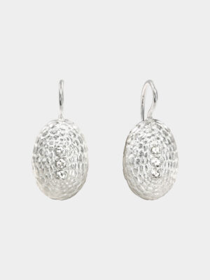 silver elliptical turtle sea urchin