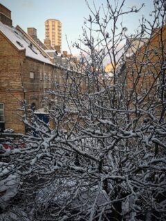 Vidunderlig udsigt fra mit vindue i morges ❄️