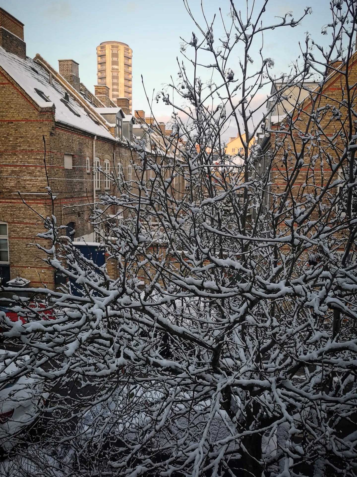 Vidunderlig udsigt fra mit vindue i morges ❄️